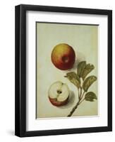 Botanical Study of an Apple-Jacques Le Moyne De Morgues-Framed Giclee Print