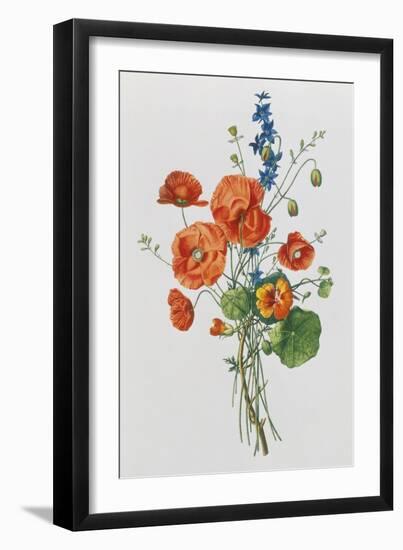 Botanical Study of Poppies, c.1850-null-Framed Giclee Print