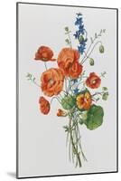 Botanical Study of Poppies, c.1850-null-Mounted Giclee Print