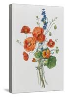 Botanical Study of Poppies, c.1850-null-Stretched Canvas