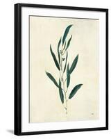 Botanical Study V-Julia Purinton-Framed Art Print