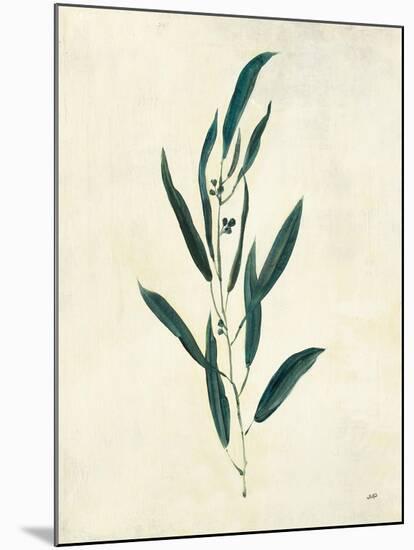 Botanical Study V-Julia Purinton-Mounted Art Print