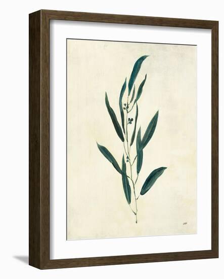 Botanical Study V-Julia Purinton-Framed Art Print