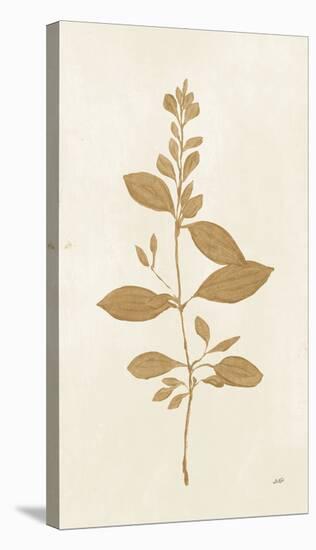 Botanical Study VIII Gold-Julia Purinton-Stretched Canvas