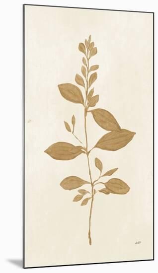 Botanical Study VIII Gold-Julia Purinton-Mounted Art Print