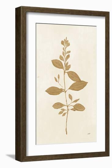 Botanical Study VIII Gold-Julia Purinton-Framed Art Print