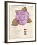 Botanical Wash I-Belle Poesia-Framed Giclee Print