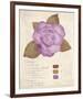 Botanical Wash I-Belle Poesia-Framed Giclee Print