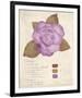 Botanical Wash I-Belle Poesia-Framed Giclee Print