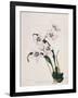 Botanical Watercolour: Orchid, Odontoglossum Cervantesii-Samuel Holden-Framed Giclee Print