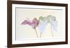 Botanical-Carol Ann Bolt-Framed Collectable Print