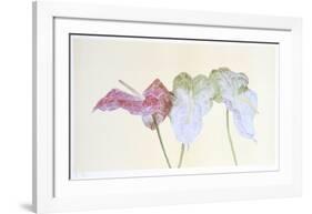 Botanical-Carol Ann Bolt-Framed Collectable Print