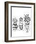 Botanicals 18-KCDoodleArt-Framed Giclee Print