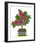 Botanicals 21 - Color-KCDoodleArt-Framed Giclee Print