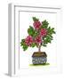 Botanicals 21 - Color-KCDoodleArt-Framed Giclee Print