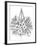 Botanicals 23-KCDoodleArt-Framed Giclee Print