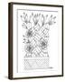 Botanicals 24-KCDoodleArt-Framed Giclee Print