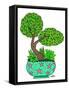Botanicals 25 - Color-KCDoodleArt-Framed Stretched Canvas