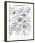 Botanicals 27-KCDoodleArt-Framed Giclee Print