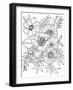 Botanicals 27-KCDoodleArt-Framed Giclee Print