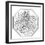 Botanicals 32-KCDoodleArt-Framed Giclee Print