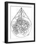 Botanicals 8-KCDoodleArt-Framed Giclee Print