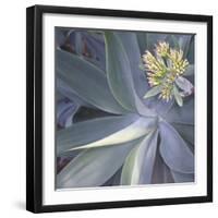 Botanicals Focus - Shine-Tony Koukos-Framed Giclee Print