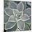Botanicals Focus - Thrive-Tony Koukos-Mounted Giclee Print