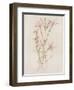 Botanicals I-Rikki Drotar-Framed Giclee Print