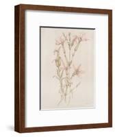 Botanicals I-Rikki Drotar-Framed Giclee Print