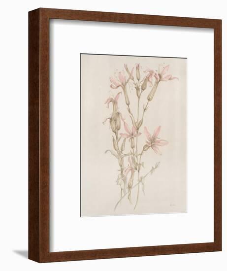 Botanicals I-Rikki Drotar-Framed Giclee Print