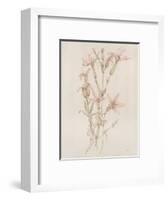 Botanicals I-Rikki Drotar-Framed Giclee Print
