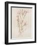 Botanicals I-Rikki Drotar-Framed Giclee Print