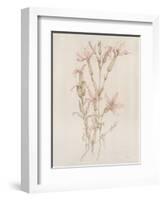 Botanicals I-Rikki Drotar-Framed Giclee Print