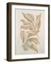 Botanicals III-Rikki Drotar-Framed Giclee Print