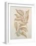 Botanicals III-Rikki Drotar-Framed Giclee Print