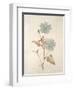 Botanicals Series Blue I-Rikki Drotar-Framed Giclee Print