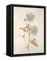 Botanicals Series Blue I-Rikki Drotar-Framed Stretched Canvas