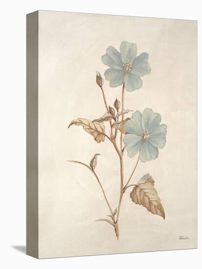 Botanicals Series Blue I-Rikki Drotar-Stretched Canvas