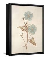 Botanicals Series Blue I-Rikki Drotar-Framed Stretched Canvas