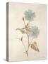 Botanicals Series Blue I-Rikki Drotar-Stretched Canvas