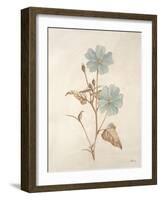 Botanicals Series Blue I-Rikki Drotar-Framed Giclee Print