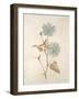 Botanicals Series Blue I-Rikki Drotar-Framed Giclee Print