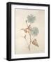 Botanicals Series Blue I-Rikki Drotar-Framed Giclee Print