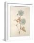 Botanicals Series Blue I-Rikki Drotar-Framed Giclee Print