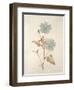 Botanicals Series Blue I-Rikki Drotar-Framed Premium Giclee Print