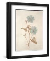 Botanicals Series Blue I-Rikki Drotar-Framed Premium Giclee Print