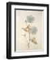 Botanicals Series Blue I-Rikki Drotar-Framed Premium Giclee Print