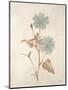 Botanicals Series Blue I-Rikki Drotar-Mounted Premium Giclee Print