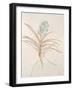 Botanicals Series Blue II-Rikki Drotar-Framed Giclee Print